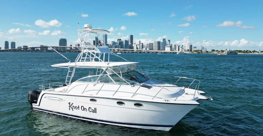 Valencia: VIP Sunset Cruise in Catamaran with drink - How the timing works (and how to plan your evening in Valencia)