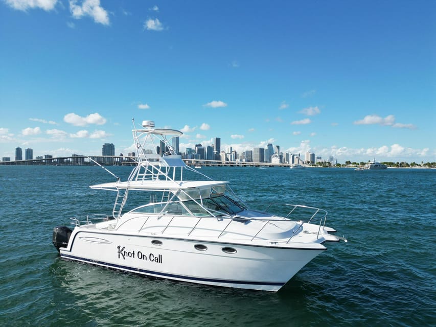 Valencia: VIP Sunset Cruise in Catamaran with drink - Quick booking checklist before you go