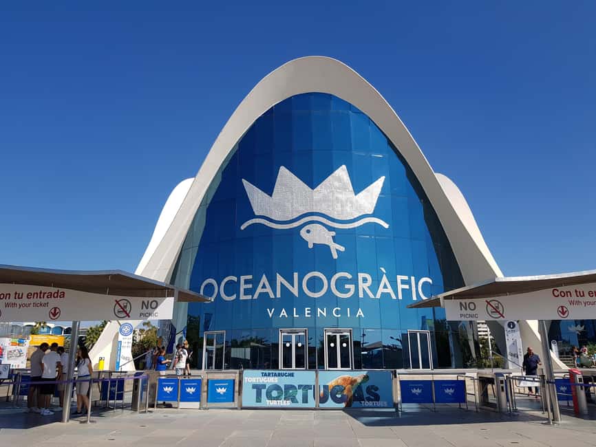 Valencia: Walking tour of the City of Arts and Sciences in Italian - Where to meet and how to find your guide