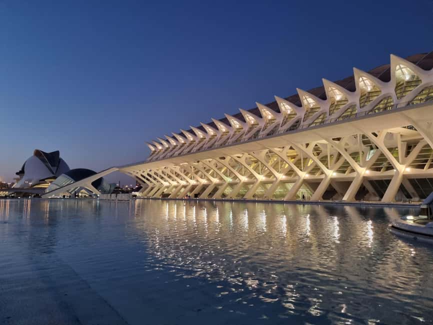 Valencia: Walking tour of the City of Arts and Sciences in Italian - Palau de les Arts Reina Sofia: the architecture story engine