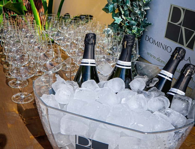 Wine Tasting with Professional Sommelier in centre Valencia - Should you book this Wine Tasting in Valencia?