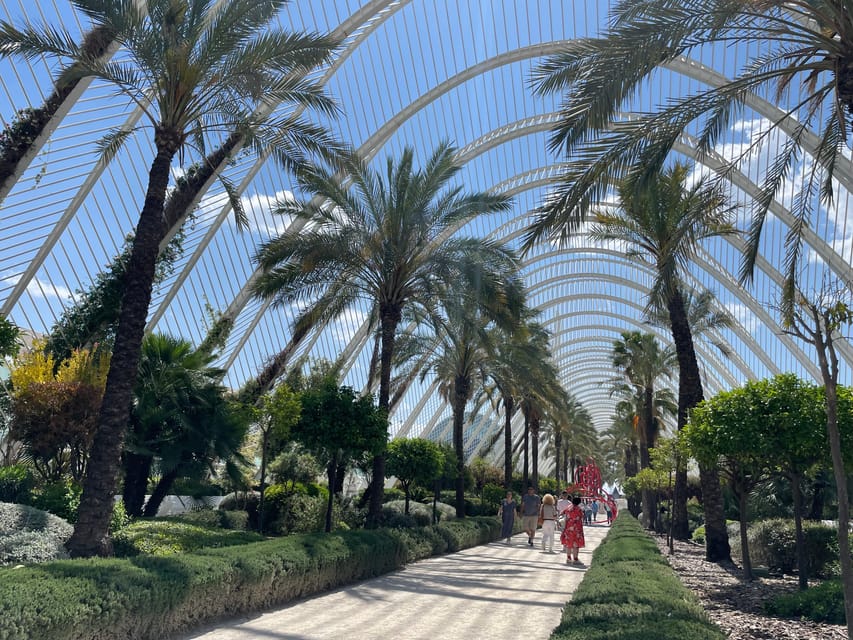 Zoom Through Valencia: Top 25 Hotspots on E-Scooters - Scooter comfort, helmets, and why first-timers say yes